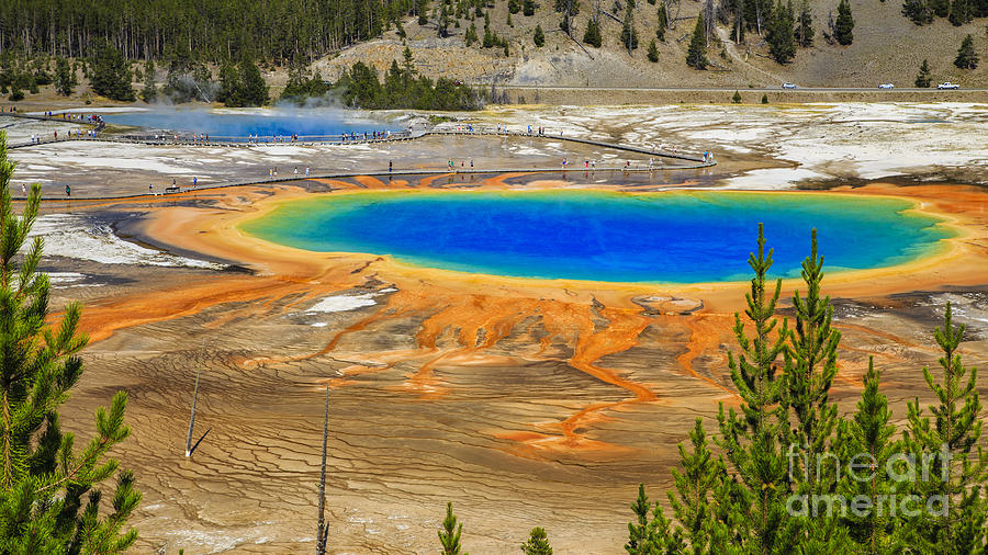 Grand Prismatic Geyser Yellowstone National Park Photograph by Edward Fielding