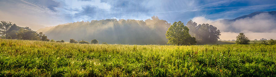 Morning Glory in Cades Cove Photograph by Keith Allen