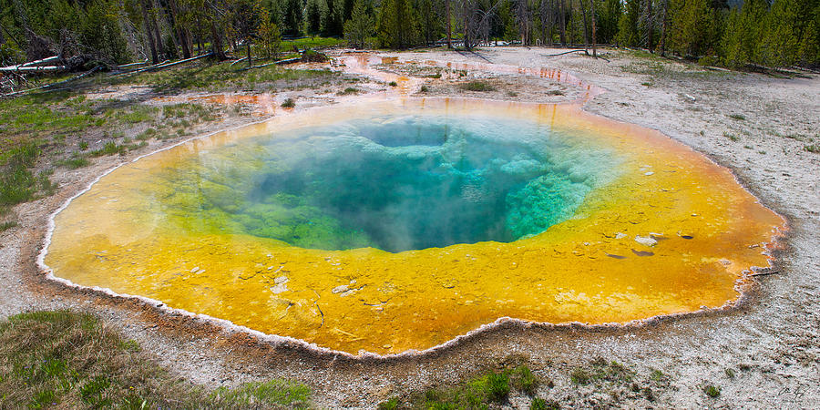 Yellowstone National Park Photograph - Morning Glory Pool by Aaron Spong