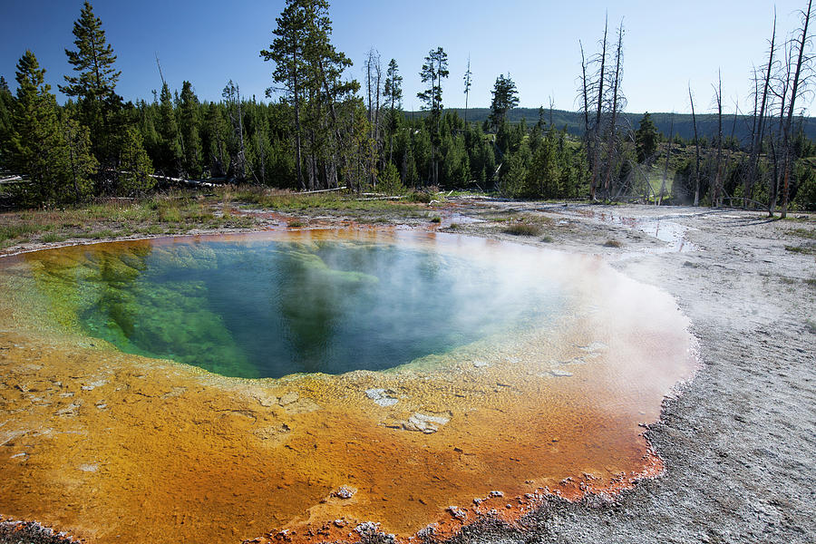 Morning Glory Pool - Yellowstone Photograph by Patrick Leitz - Fine Art ...