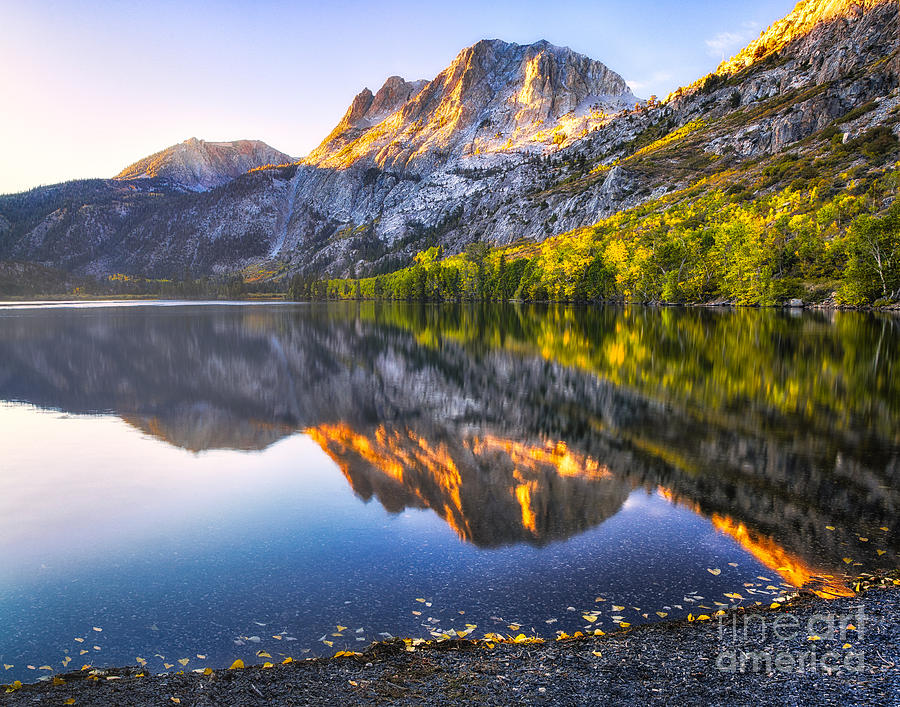 Morning Glow Photograph by Anthony Michael Bonafede