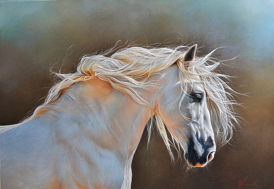 Horse Drawing - Morning glow by Elena Kolotusha