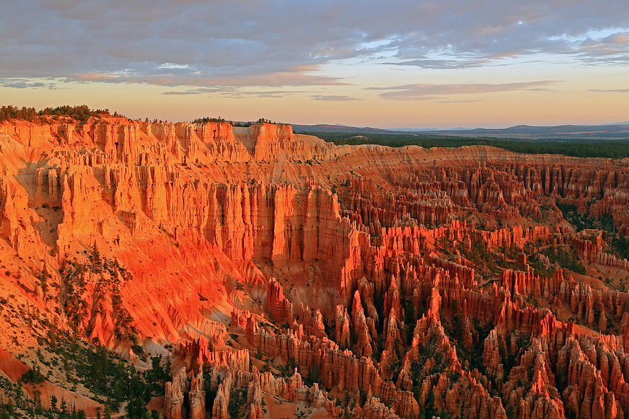 Bryce Canyon National Park Photograph - Morning glow in Bryce Canyon. by Wasatch Light