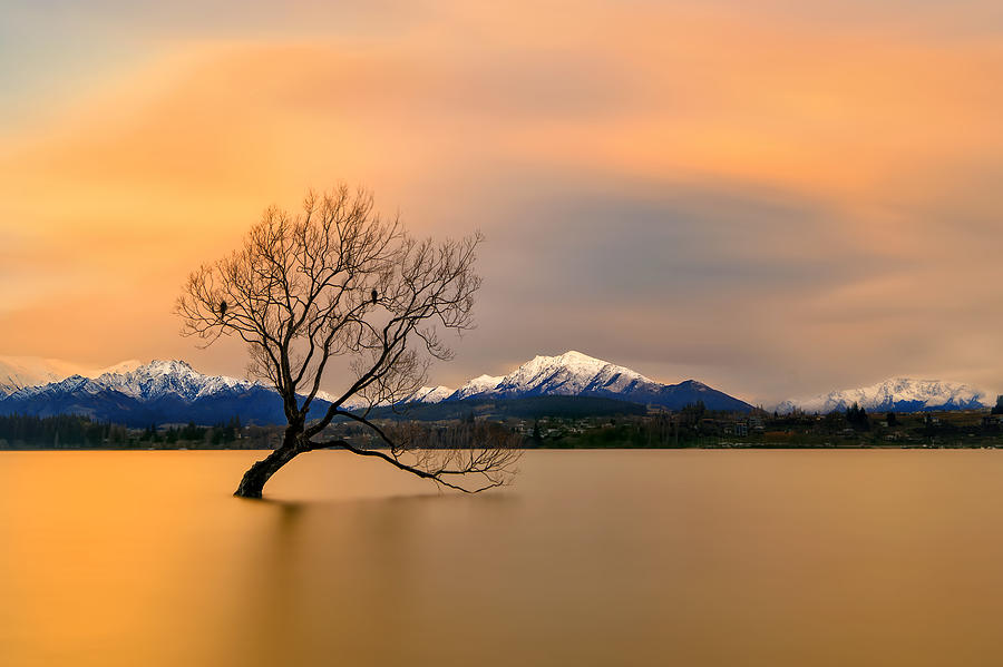 Morning Photograph - Morning Glow Of The Lake Wanaka by Hua Zhu