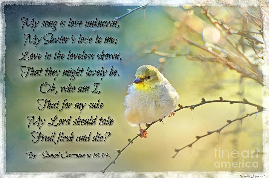 Morning Goldfinch with verse II Photograph by Debbie Portwood