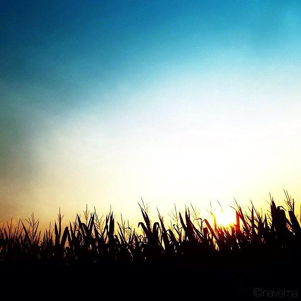 Sunset Photograph - Morning Has Broken by Natasha Marco Sunset Photograph - Morning Has Broken by Natasha Marco