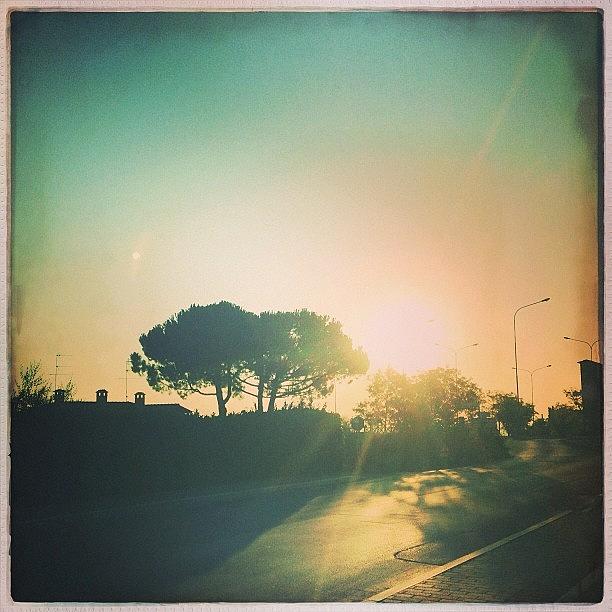 Tuscany Photograph - Morning #hipstamatic #tuscany by Mary Ann Reilly