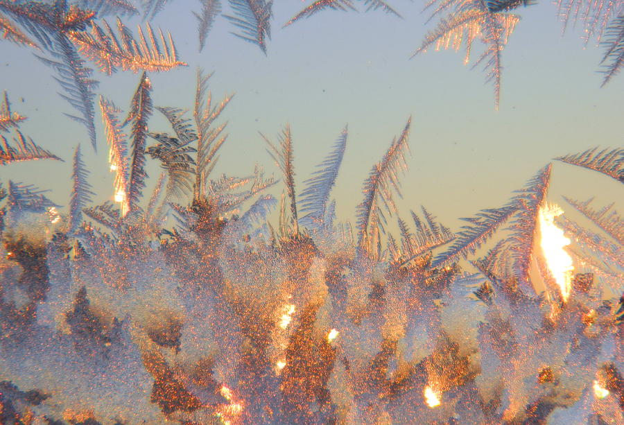Morning Ice Crystals Photograph by Kathy Barney