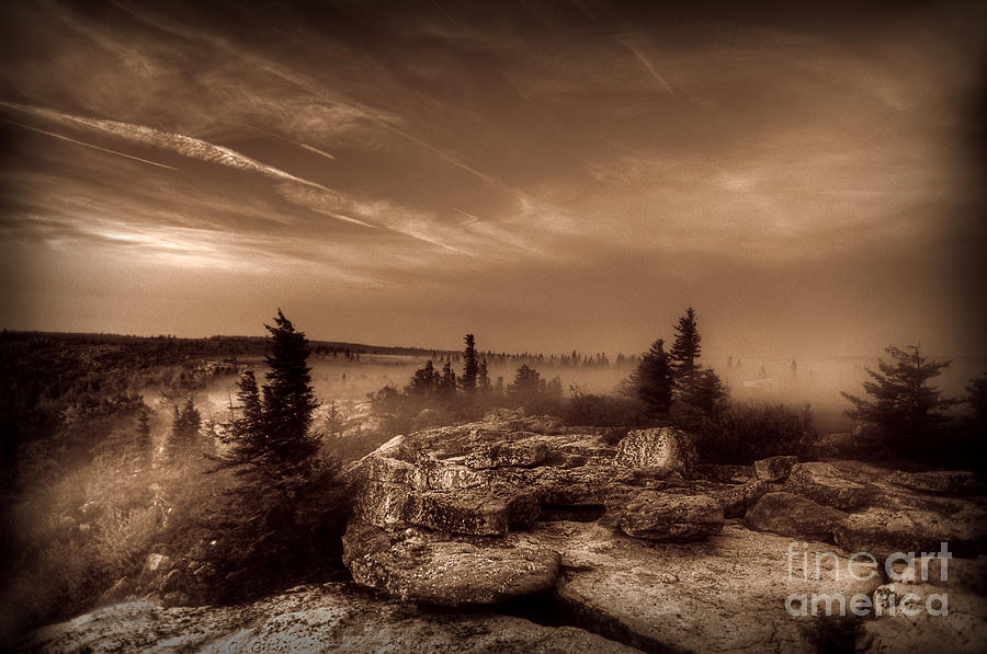 Morning image of Bear Rocks with fog in Dolly Sods Photograph by Dan Friend