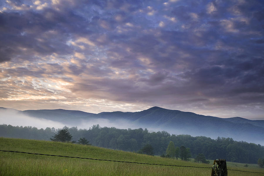 Nature Photograph - Morning In Cades Cove by Andrew Soundarajan
