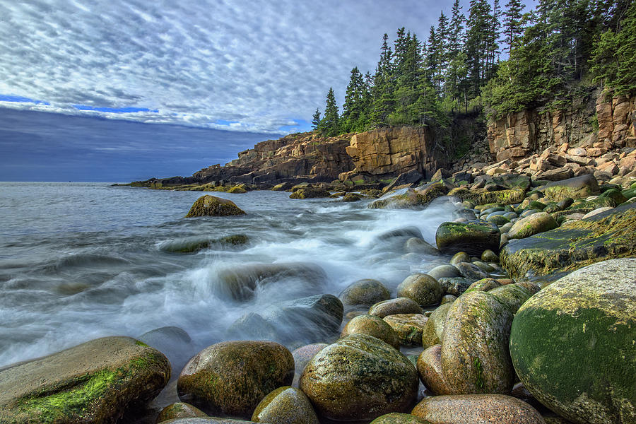 Tree Photograph - Morning In Monument Cove by Rick Berk