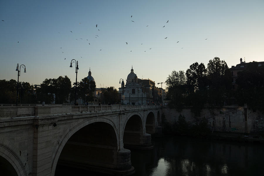 Morning in Rome - Cavour Bridge and Seagulls in Flight  Photograph by Georgia Mizuleva