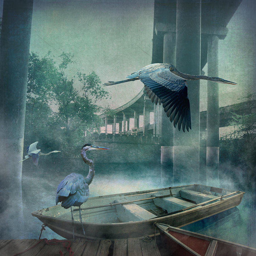 Heron Digital Art - Morning in the Urban Marsh by Bryan Dechter