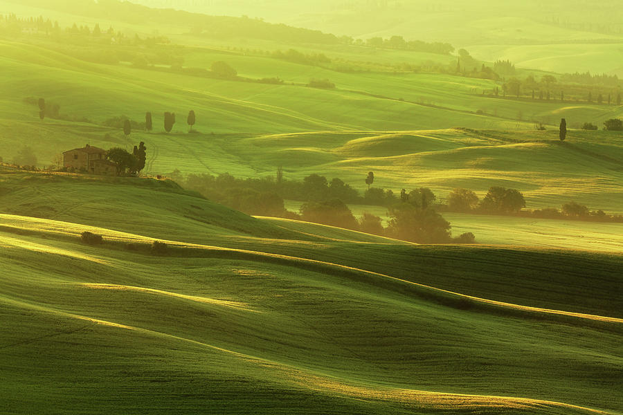 Morning In Tuscany Photograph by Mammuth