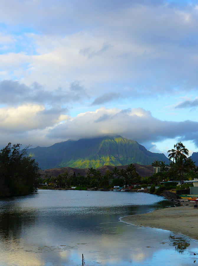 Tree Photograph - Morning  Kailua Town by Kevin Smith