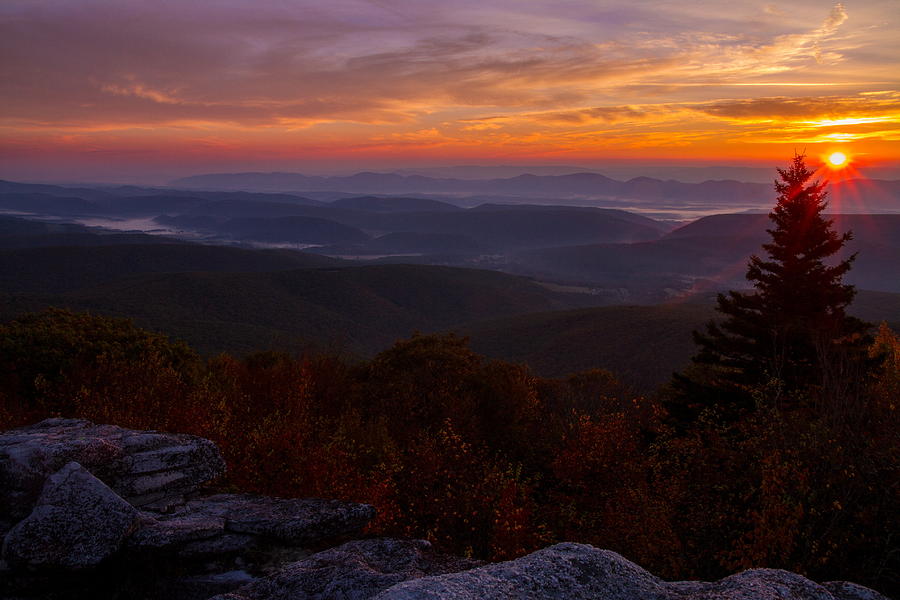 Morning light at Dolly Sods in West Virginia Photograph by Jetson Nguyen
