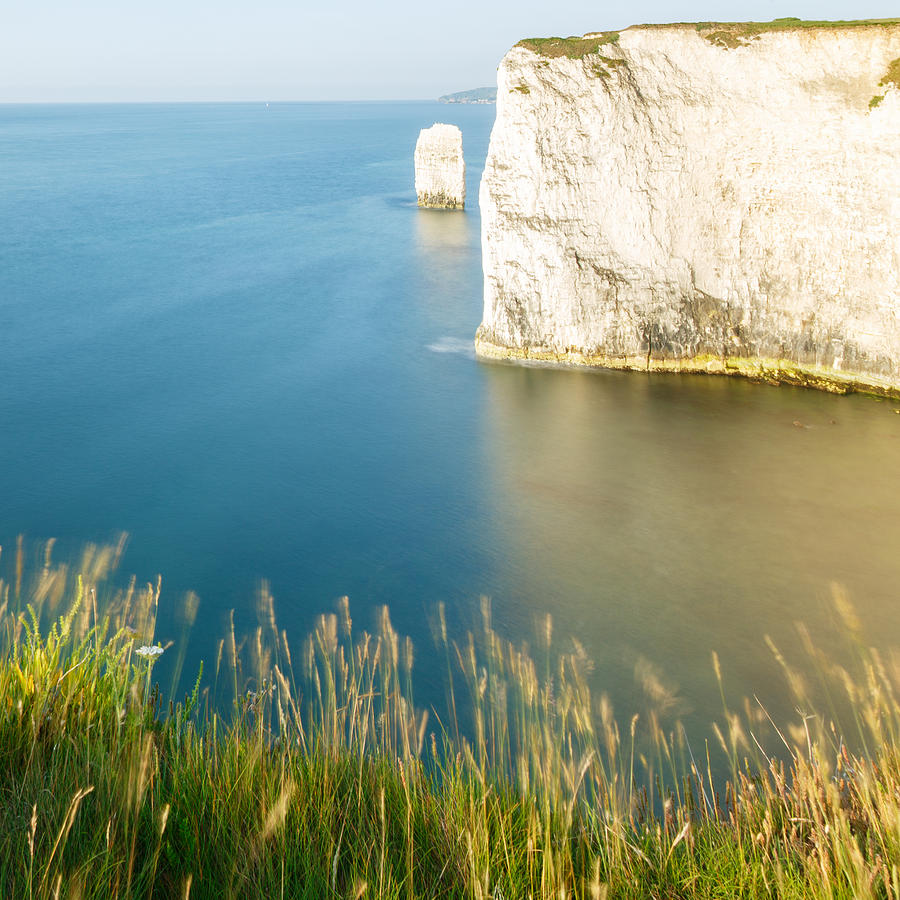 Morning light at Old Harry Rocks Photograph by Ian Middleton