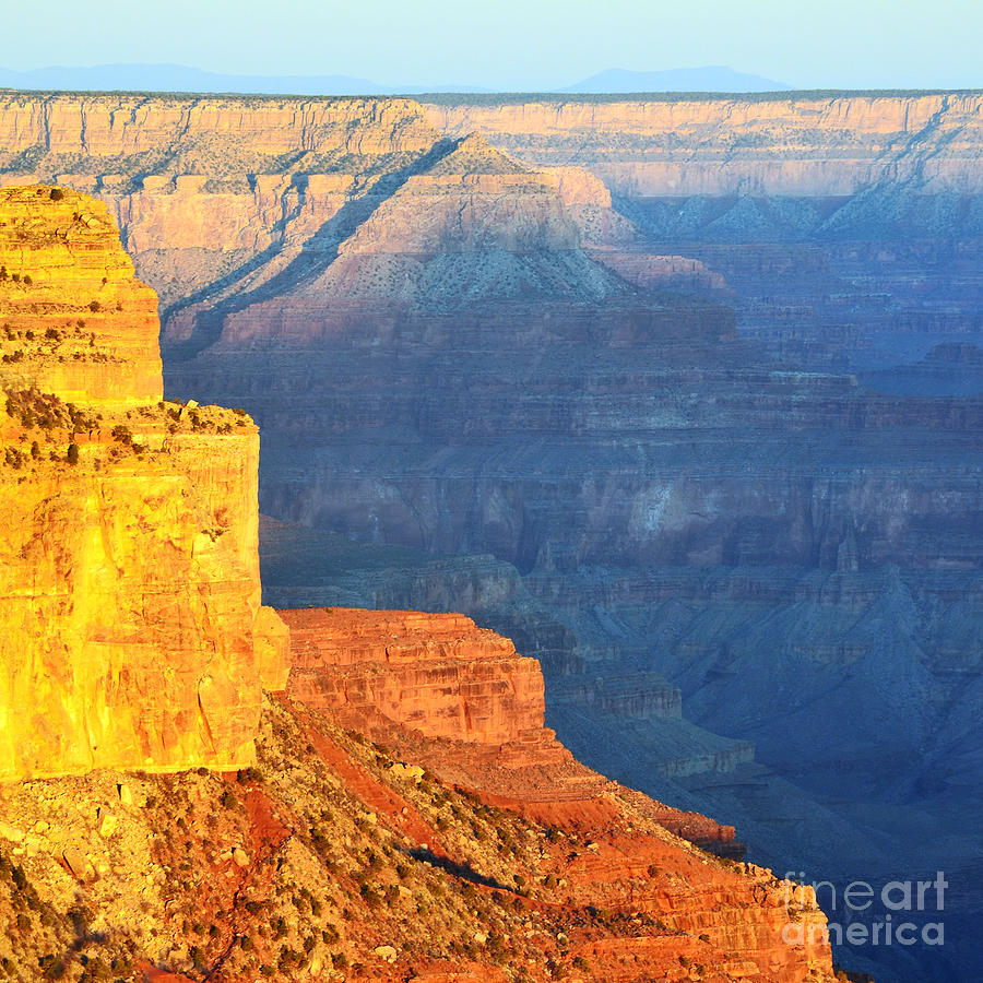 Morning Light Contrast Canyon Colors Grand Canyon National Park Square Photograph by Shawn OBrien