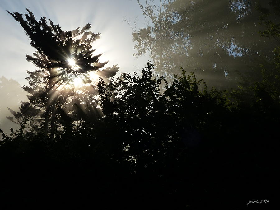 Morning Light Photograph