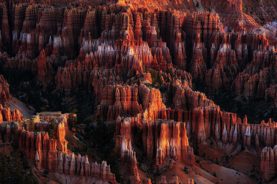 National Parks Photograph - Morning Light On Hoodoos by ??? / Austin