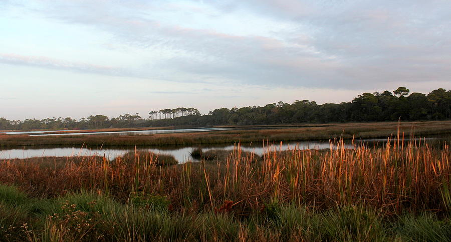 Morning Light on the Marsh Photograph by Rosanne Jordan - Fine Art America