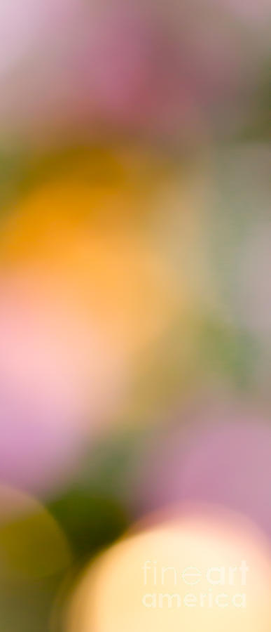 Morning Light by Patricia Bainter Morning Light by Patricia Bainter