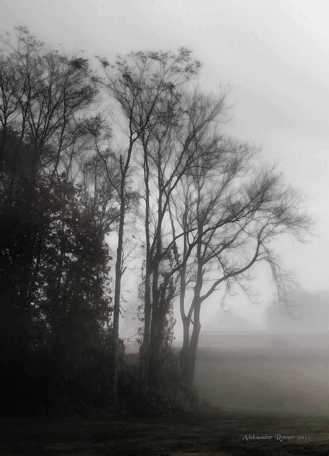 Morning Mist Photograph by Aleksander Rotner