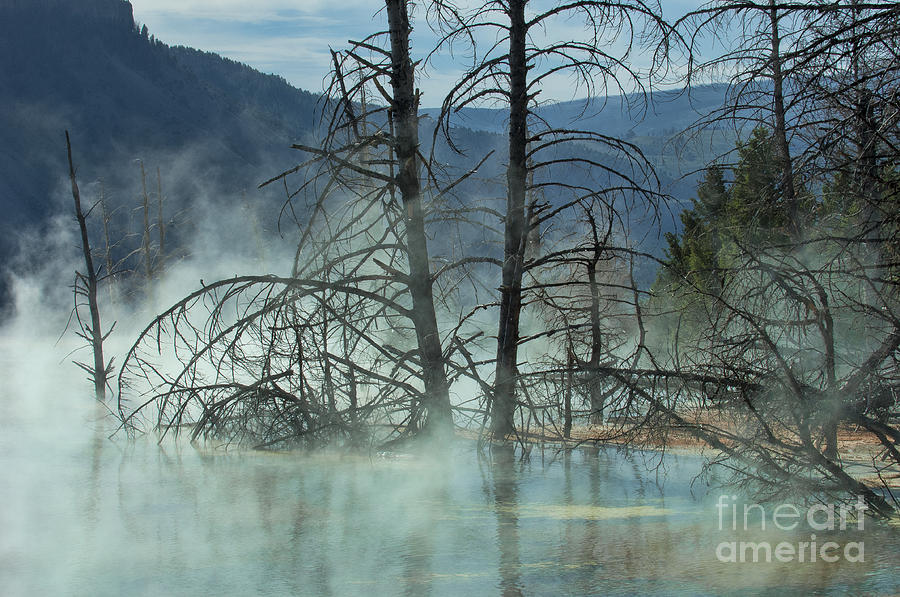 Yellowstone National Park Photograph - Morning Mist at Mammoth Hot Springs by Sandra Bronstein