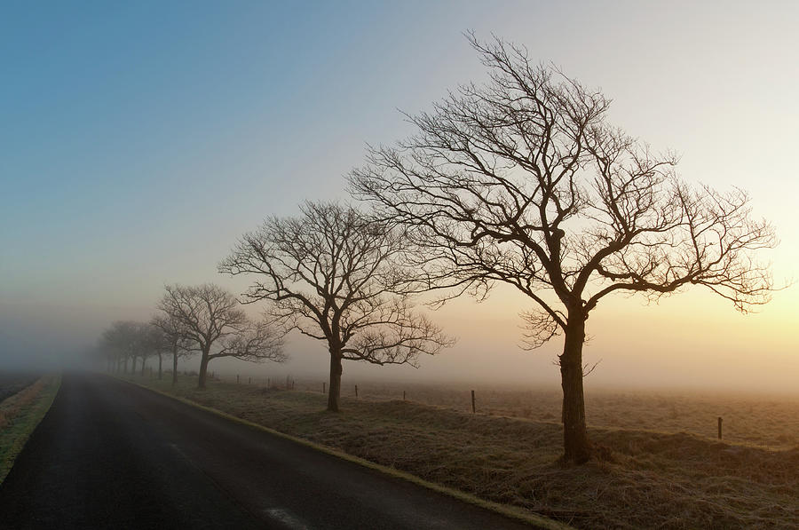 Morning Mist At The Contry Road Photograph by Martin Wahlborg