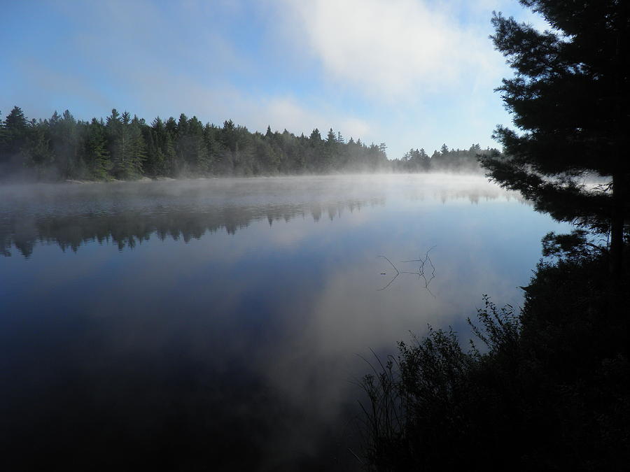 Morning Mist Bear Pond Photograph by Sven Migot - Fine Art America