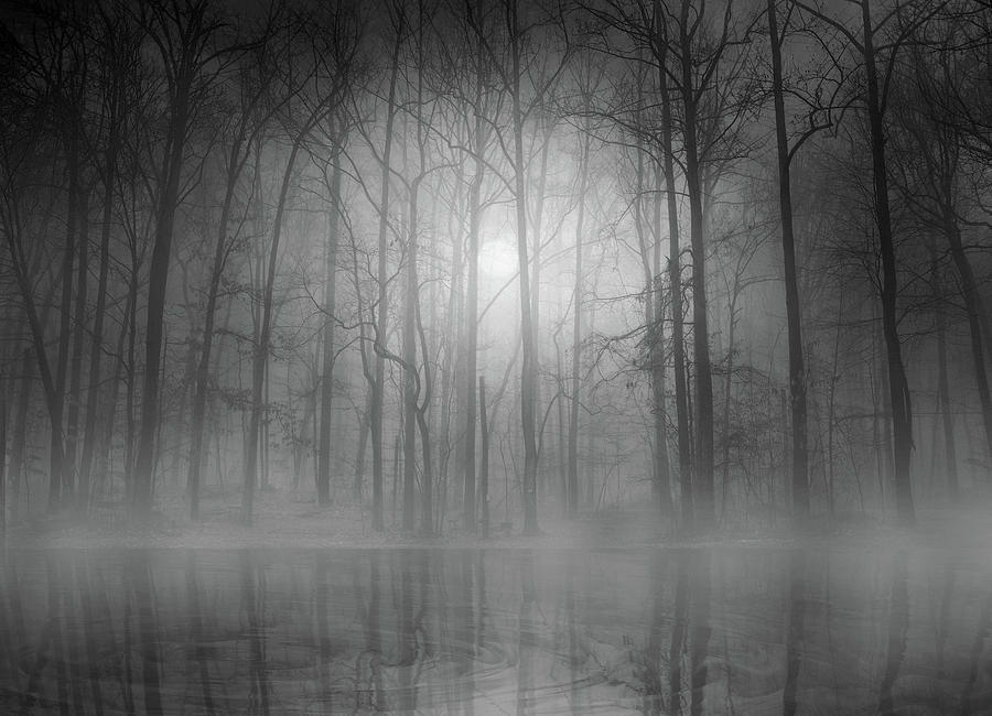 Black And White Photograph - Morning Mist by Bethanne Lutz