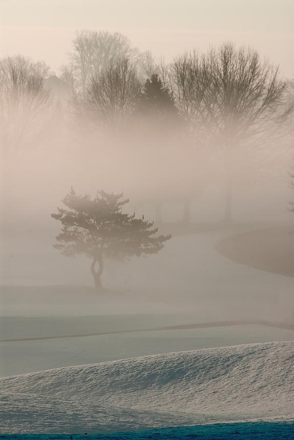 Morning Mist Photograph by Carol Erikson