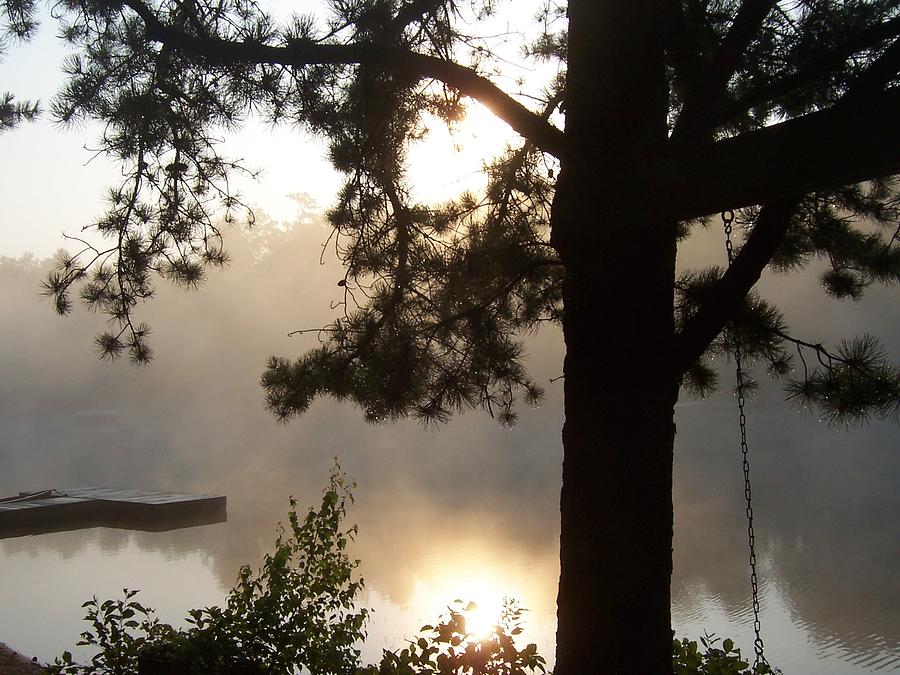 Morning Mist Photograph by Catherine Gagne