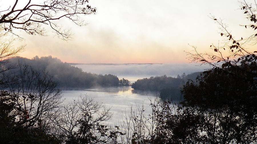Morning Mist Photograph by Davandra Cribbie