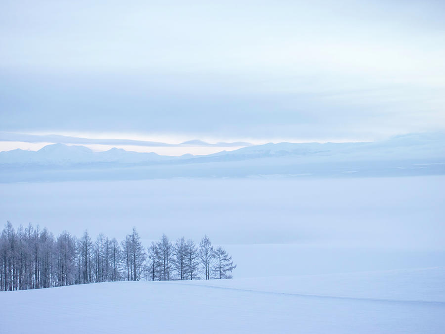 Morning Mist Photograph by Haruna