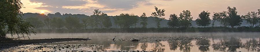 Morning Mist I Photograph by Joe Faherty