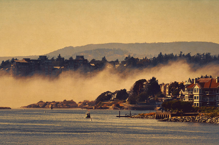 Morning Mist -Victoria BC Photograph by Maria Angelica Maira