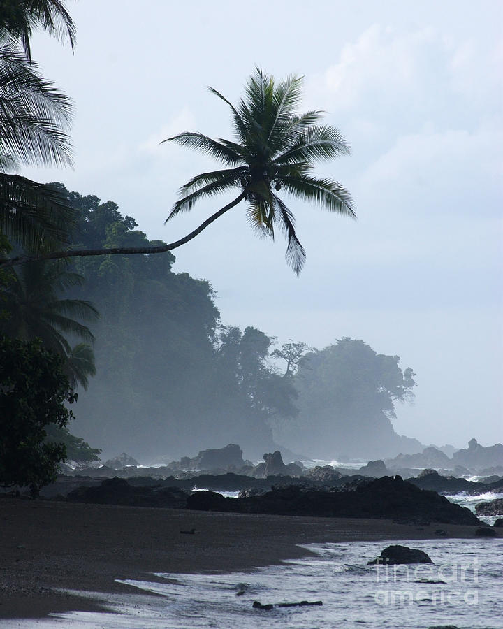 morning mist in Corcovado National Park Photograph by Rudi Prott