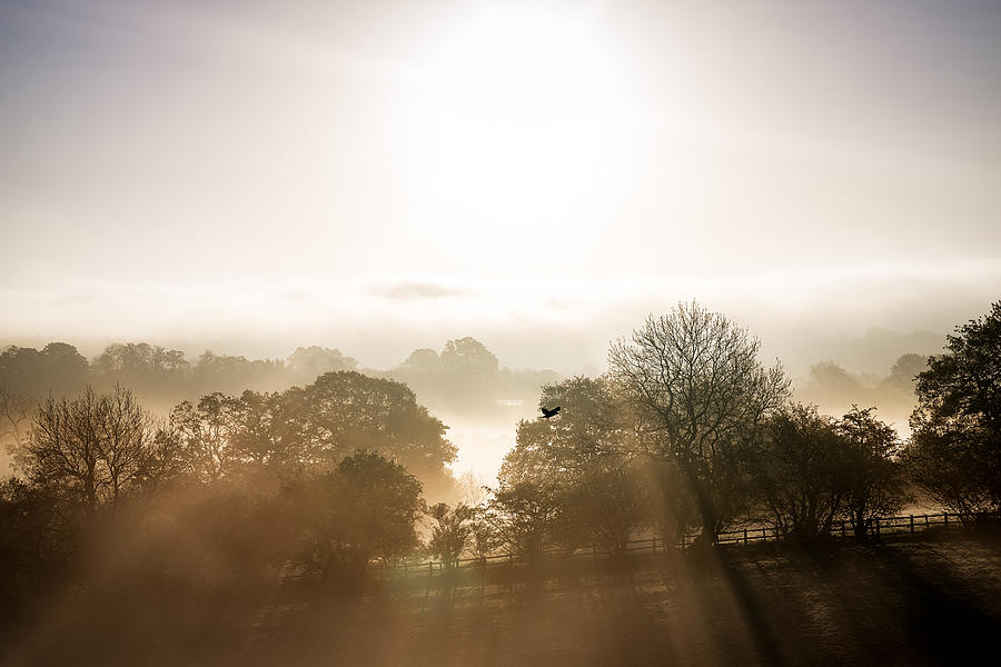 Morning Mist in Warwickshire Photograph by Will Tudor