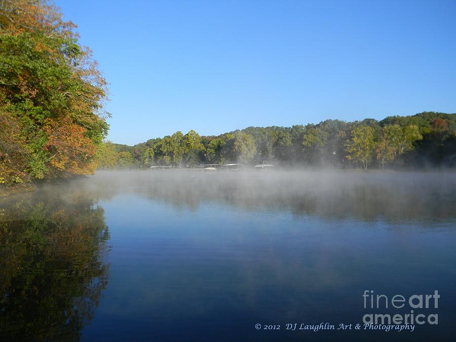 Tree Photograph - Morning Mist Line by DJ Laughlin