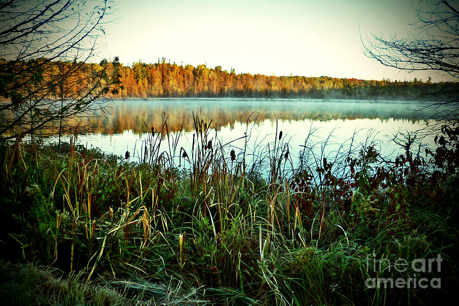 Morning Mist on Autumn Pond Photograph by Desiree Paquette