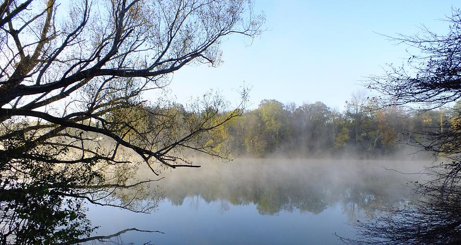 Nature Photograph - Morning Mist by Peggy King