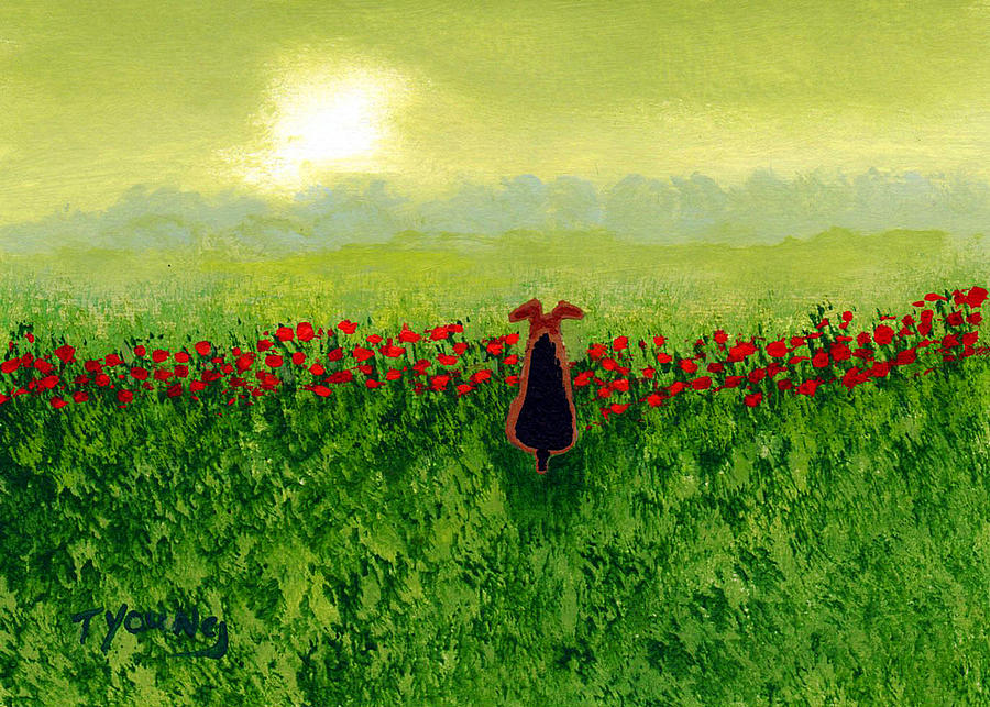 Poppy Painting - Morning Mist by Todd Young