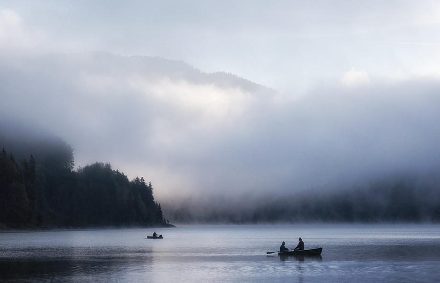 Morning Mist Photograph by Uschi Hermann