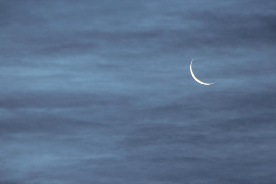 Morning Moon and Clouds Photograph by Bill Wiebesiek