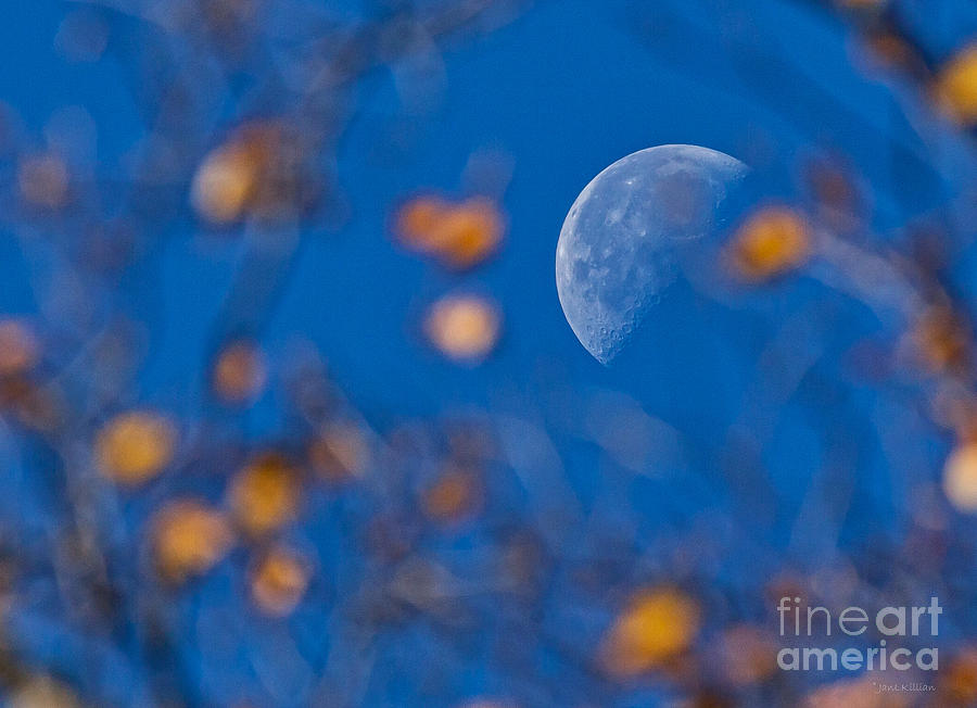 Morning Moon Photograph by Jan Killian