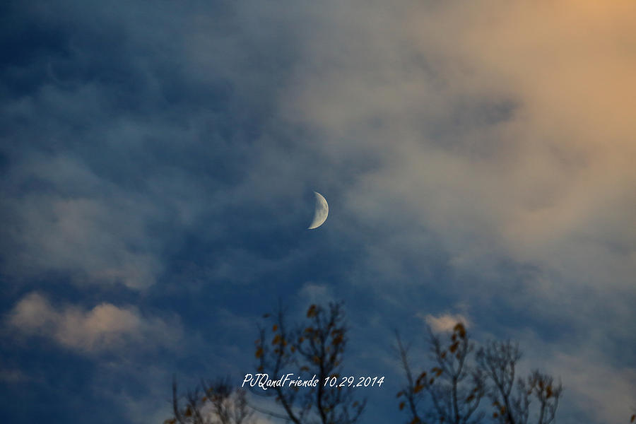 Morning Moon Photograph by PJQandFriends Photography