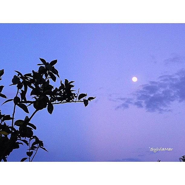 Sky Photograph - Morning Moon by Sylvia Martinez