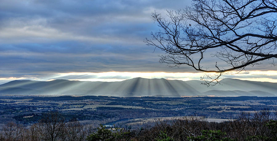 Morning Mountain Splendor Photograph by Lara Ellis