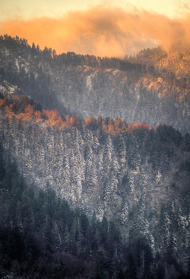 Morning Mountains II Photograph by Rebecca Hiatt